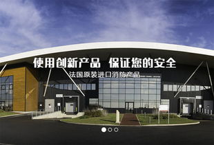 上海建網站公司成功簽約法國代福中國，助力企業數字化升級