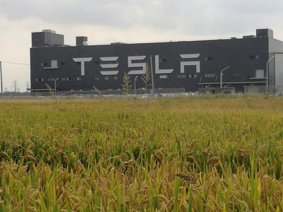 狼真來了！特斯拉上海工廠投產(chǎn)，國產(chǎn)Model 3下線，十個(gè)月創(chuàng)奇跡，三季度盈利——對(duì)中國新能源市場的深遠(yuǎn)影響